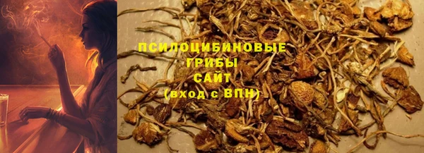 ешки Армянск